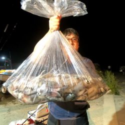 オーシャンズ　京都 釣果