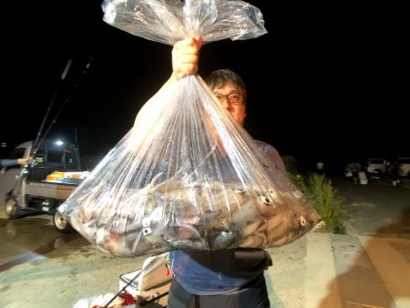 オーシャンズ　京都 釣果