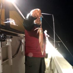 オーシャンズ　京都 釣果