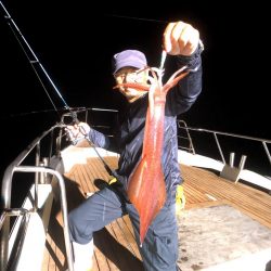 オーシャンズ　京都 釣果