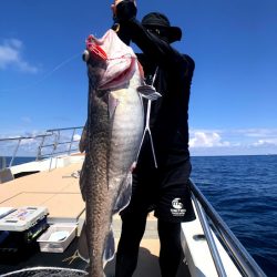 オーシャンズ　京都 釣果