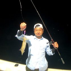 オーシャンズ　京都 釣果