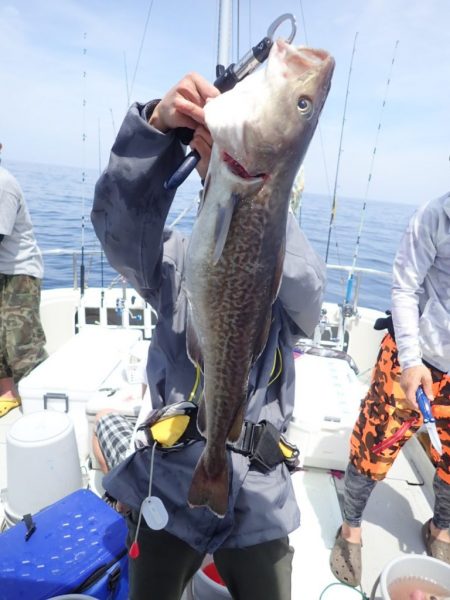 Aquanaut(アクアノート) 釣果