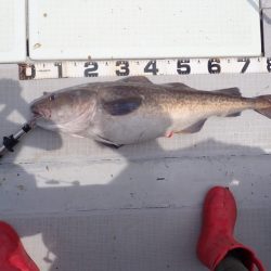 Aquanaut(アクアノート) 釣果