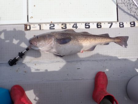 Aquanaut(アクアノート) 釣果