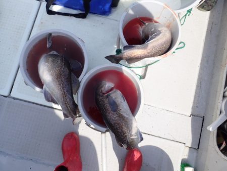 Aquanaut(アクアノート) 釣果