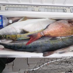 Aquanaut(アクアノート) 釣果