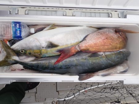 Aquanaut(アクアノート) 釣果