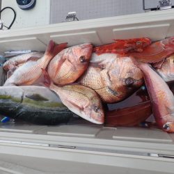 Aquanaut(アクアノート) 釣果