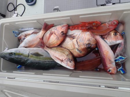 Aquanaut(アクアノート) 釣果