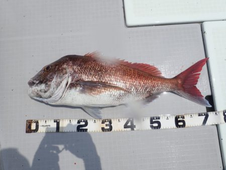 Aquanaut（アクアノート） 釣果