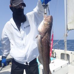 Aquanaut（アクアノート） 釣果