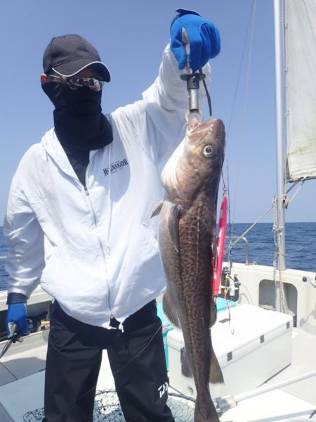 Aquanaut（アクアノート） 釣果