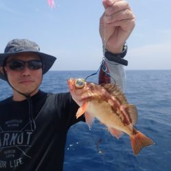 Aquanaut（アクアノート） 釣果