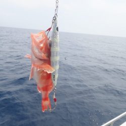 Aquanaut（アクアノート） 釣果