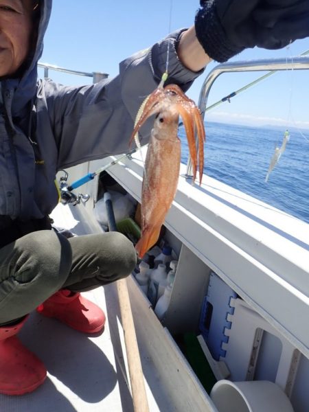 Aquanaut(アクアノート) 釣果