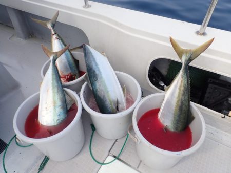 Aquanaut(アクアノート) 釣果