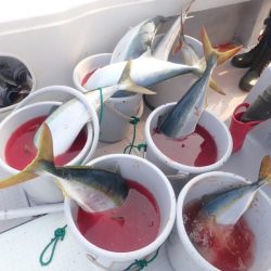 Aquanaut(アクアノート) 釣果