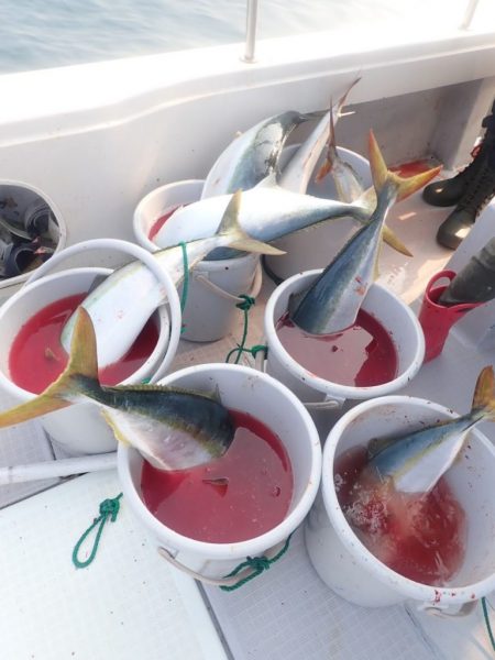 Aquanaut(アクアノート) 釣果