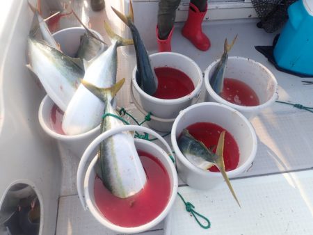 Aquanaut(アクアノート) 釣果