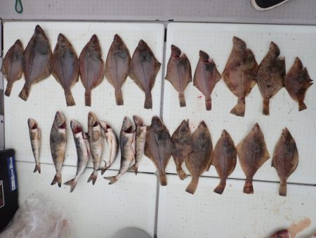 Aquanaut(アクアノート) 釣果