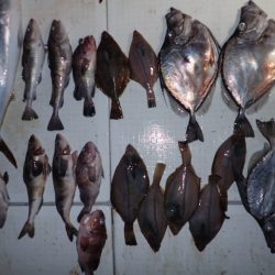 Aquanaut(アクアノート) 釣果