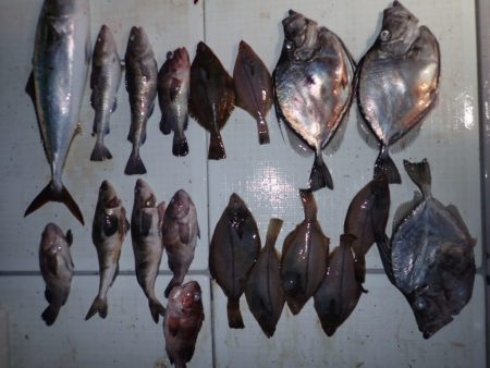 Aquanaut（アクアノート） 釣果