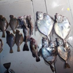 Aquanaut(アクアノート) 釣果