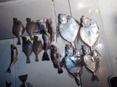 Aquanaut(アクアノート) 釣果