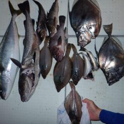 Aquanaut(アクアノート) 釣果