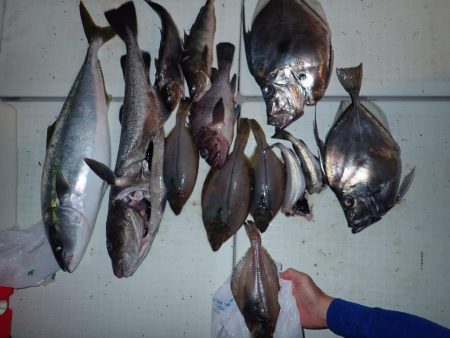 Aquanaut(アクアノート) 釣果