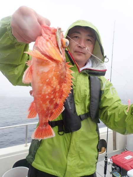 Aquanaut(アクアノート) 釣果