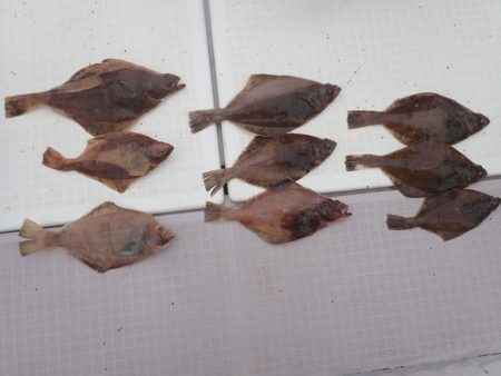 Aquanaut(アクアノート) 釣果