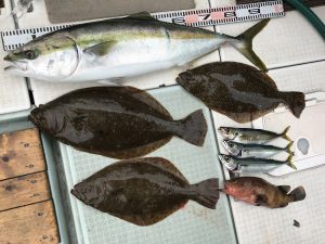 さぶろう丸 釣果