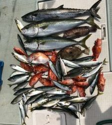 さぶろう丸 釣果