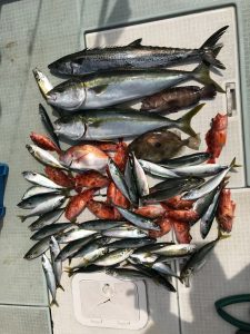 さぶろう丸 釣果