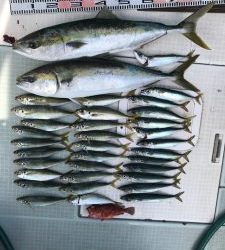 さぶろう丸 釣果