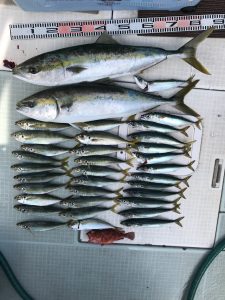 さぶろう丸 釣果