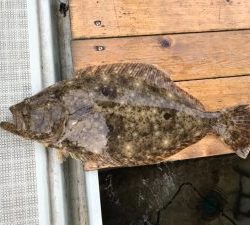 さぶろう丸 釣果