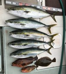 さぶろう丸 釣果