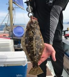 さぶろう丸 釣果