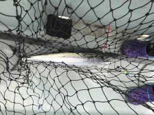 さぶろう丸 釣果