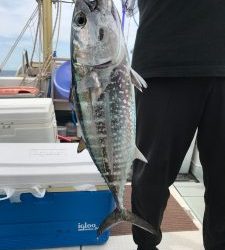 さぶろう丸 釣果