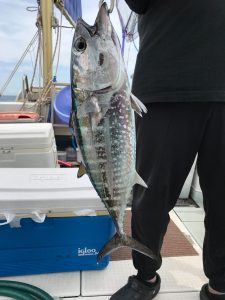 さぶろう丸 釣果