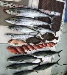 さぶろう丸 釣果