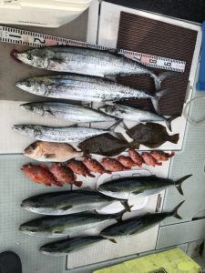 さぶろう丸 釣果