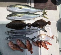 さぶろう丸 釣果