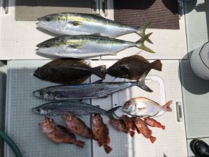 さぶろう丸 釣果