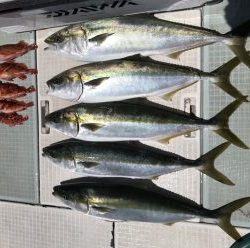 さぶろう丸 釣果