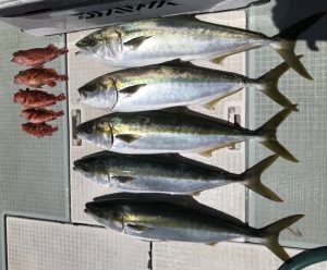 さぶろう丸 釣果